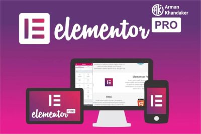 Elementor Pro Plugin